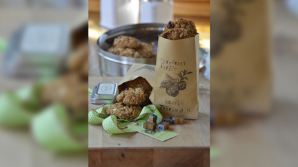Allyson Gofton - Cranberry Anzac Biscuits