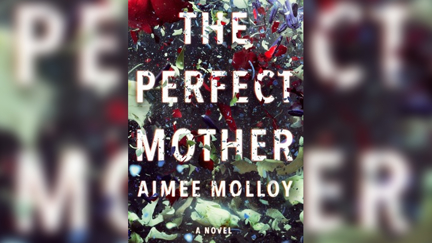 Stephanie Jones Book Review: The Perfect Mother