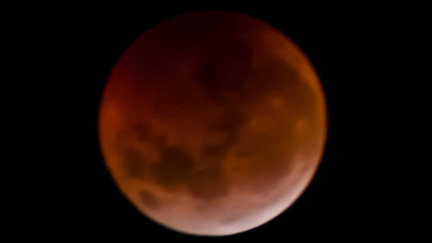 Feeling a bit moody this week? You can blame the Half-Blood Thunder Moon for that ...