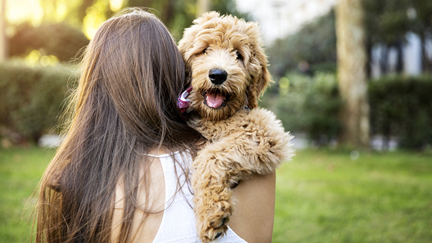 A new study has found dogs feel stressed when their owners do