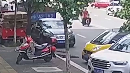 WATCH: Woman left baffled after a fish bizarrely falls from sky and smashes into her car
