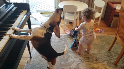 See adorable Buddy Mercury party with his human sister