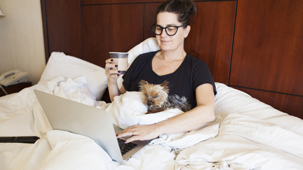 This hotel lets you foster abandoned dogs during your stay