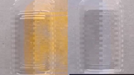 Genius life hack to remove orange stains from your favourite Tupperware container