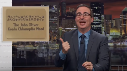 John Oliver endorses Koala Chlamydia?