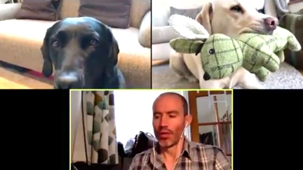 WATCH: Man has hilarious Zoom meeting with his two dogs