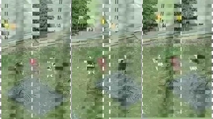 WATCH: Crane Operator Ruins Strangers Sun Bathing Attempt in a Hilarious Video!