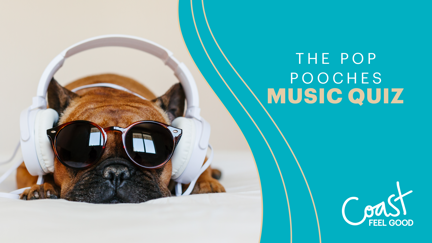 The Pop Pooches Music Quiz