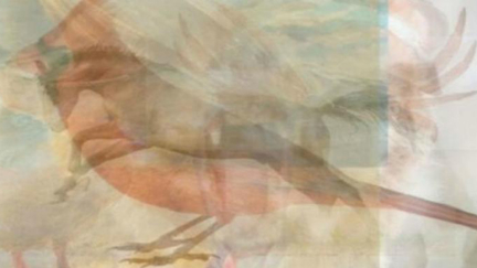 The first animal you see in this personality illusion reportedly reveals your specific Love Language