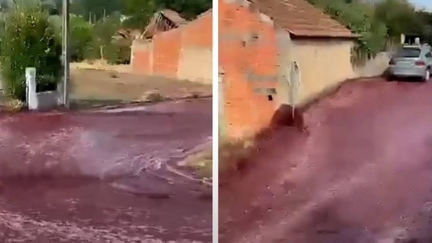 Two million litres of red wine flood Portuguese village streets