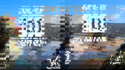 2025 | Kiwi As Top 100 Countdown