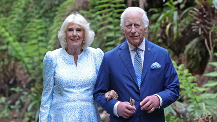 King Charles and Queen Camilla to adopt new rescue dog after Beth's passing