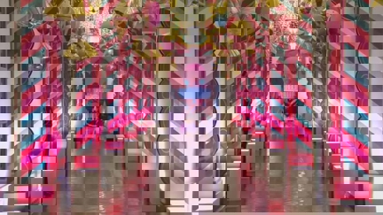 The White House have just revealed their 2023 Christmas decorations