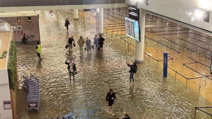 Auckland weather: Up to four dead in raging floodwaters; homes evacuated; airport, parts of SH1 closed