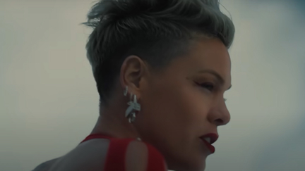 Pink releases powerful new single 'Trustfall' from her upcoming album