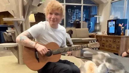Watch as Ed Sheeran hilariously chases cats away with his singing