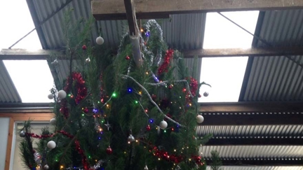 Jon Dunstan shares photo of his impressive Christmas tree