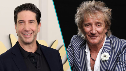 David Schwimmer once served Sir Rod Stewart with divorce papers