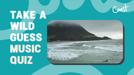 Take a Wild Guess Music Quiz