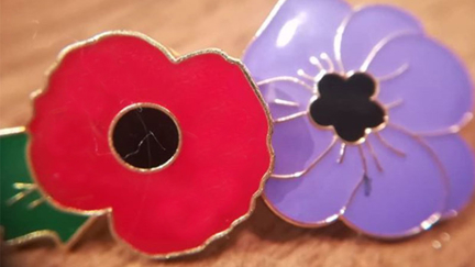 The Remembrance Poppy: This is what the purple poppy represents...