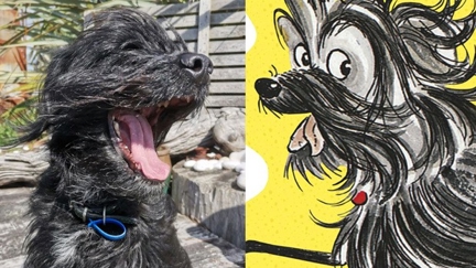 The search is on for the real-life Hairy Maclary