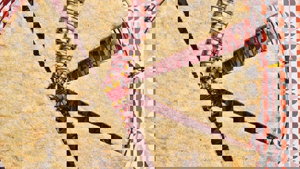 Quick and easy air fryer shortbread recipe