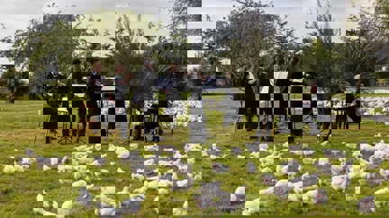 The New Zealand Symphony Orchestra have collaborated with the Bostock Brothers for NZ's first ever ‘Chook Symphony’