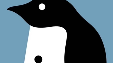 Penguin or man? Optical illusion claims to predict personality