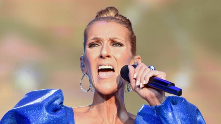 Celine Dion's sister shares a new update on singer's health battle