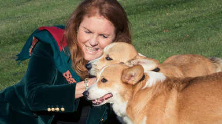 The Queen’s corgi Muick has only now stopped ‘mourning’ her majesty's death